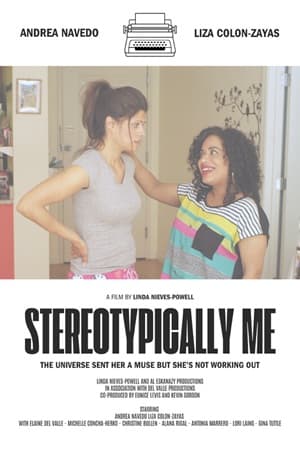 Stereotypically Me poster